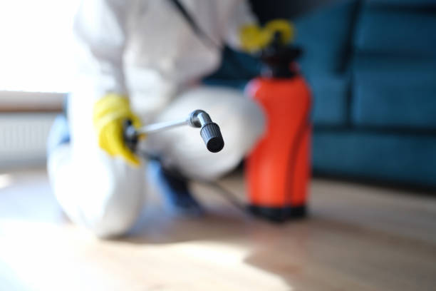 Trusted Fairview, NY Mold Removal Experts